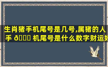 生肖猪手机尾号是几号,属猪的人手 💐 机尾号是什么数字财运好
